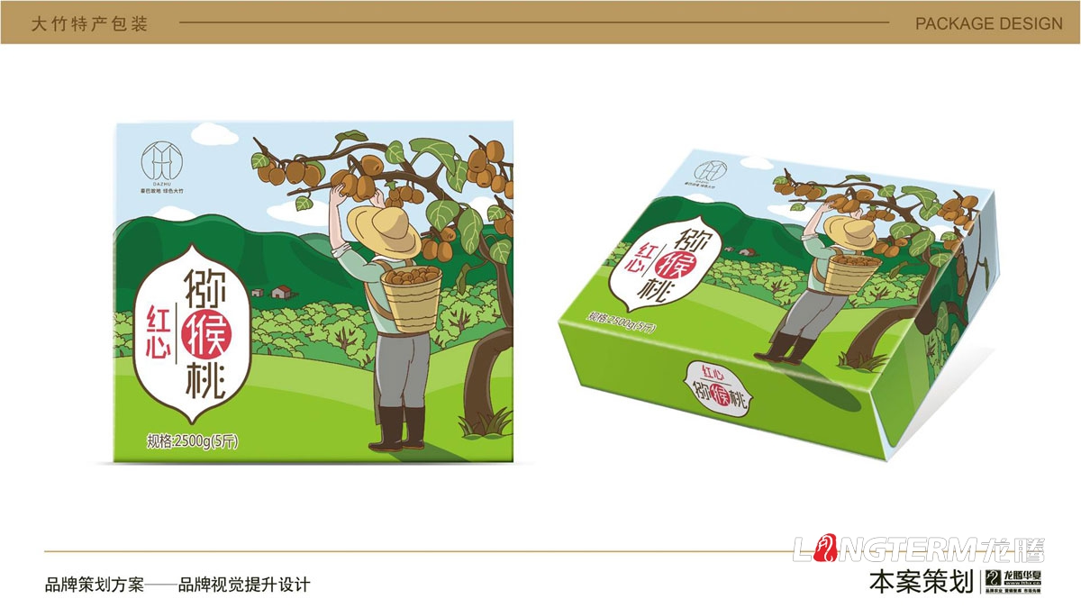 大竹獼猴桃水果卡通包裝盒設計_達州市大竹縣地方特產水果奇異果包裝設計方案